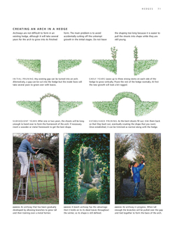 Practical Guide to Pruning, Training and Topiary