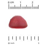 California Gold Nutrition, жевательный витамин B12, с натуральным малиновым вкусом, без желатина, 3000 мкг, 90 жевательных таблеток (1500 мкг в 1 таблетке)