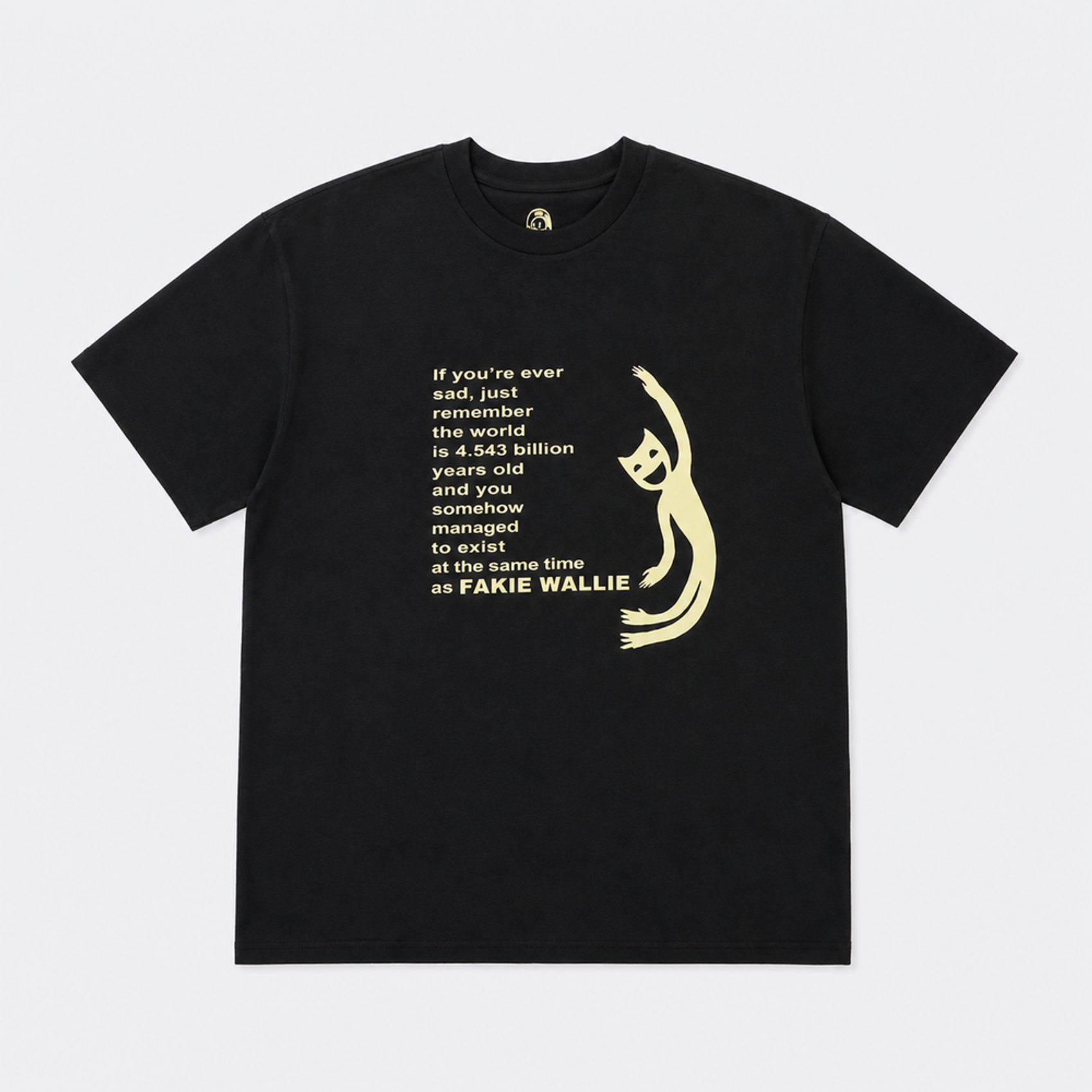 Футболка Fakie Wallie Same Time (black) артикул: - купить в магазине Дайс