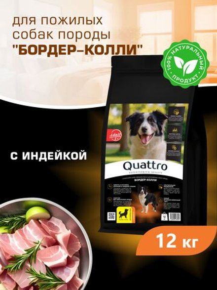 Корм сухой для пожилых собак породы Бордер-колли старше 5 лет, с индейкой, 12 кг, QUATTRO