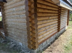 100% Льняное масло для дерева 5 литров