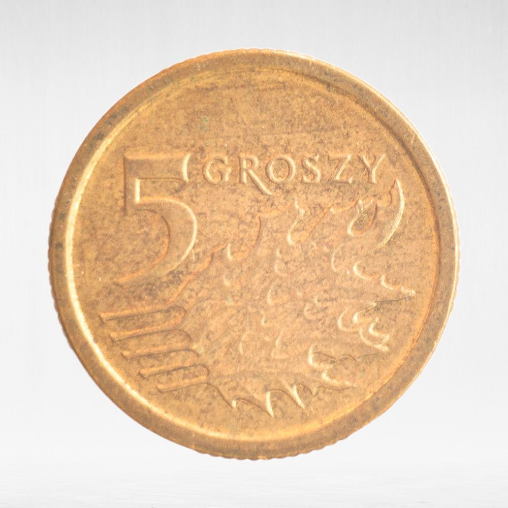 Poland, 5 Groszy, 2014, VF