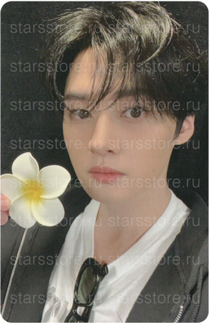 Фотокарта Lee Know STRAY KIDS - KARMA (EVERLINE)