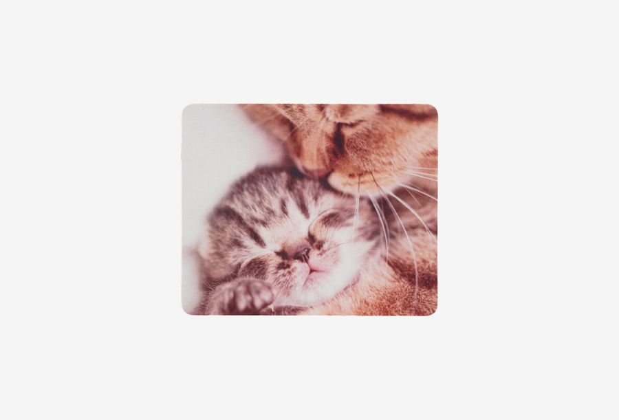 DEXP OM-XS Kitten_0126709110042