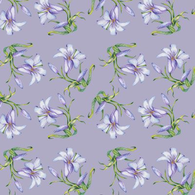 Лилия на сиреневом фоне