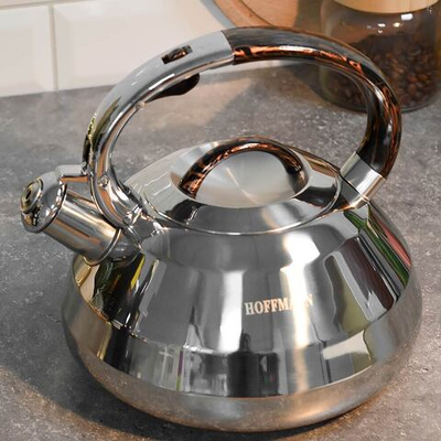 Чайник 3л со свистком, темно-коричневая ручка, индукция, НМ 55241