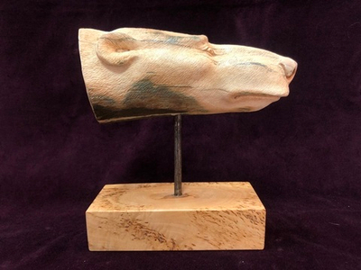 Белый медведь