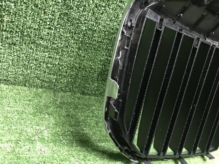 Решетка радиатора BMW X7 G07 (2022-н.в.)