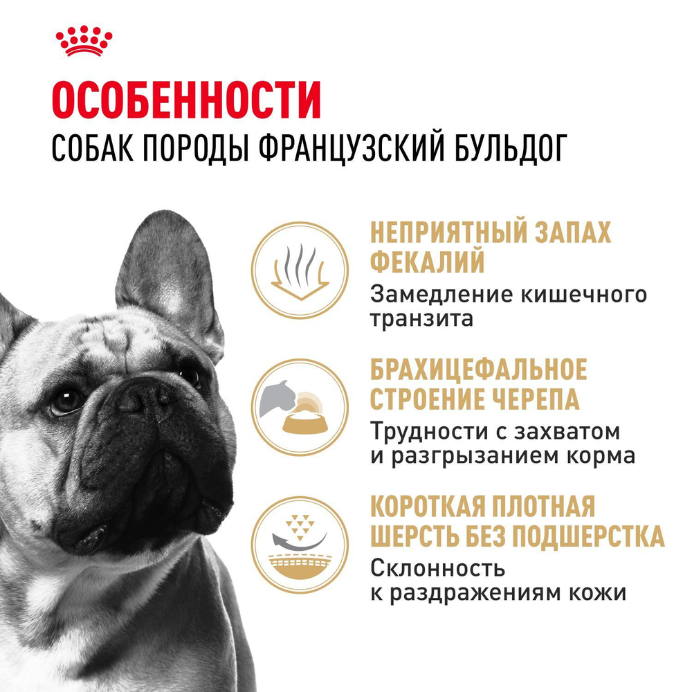 Royal Canin French Bulldog Adult Корм сухой для взрослых собак породы Французский Бульдог 9 кг