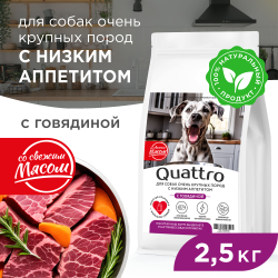 Корм сухой для взрослых собак очень крупных пород, премиум полнорационный комплекс, для собак с низким аппетитом, с говядиной, 2,5 кг, QUATTRO