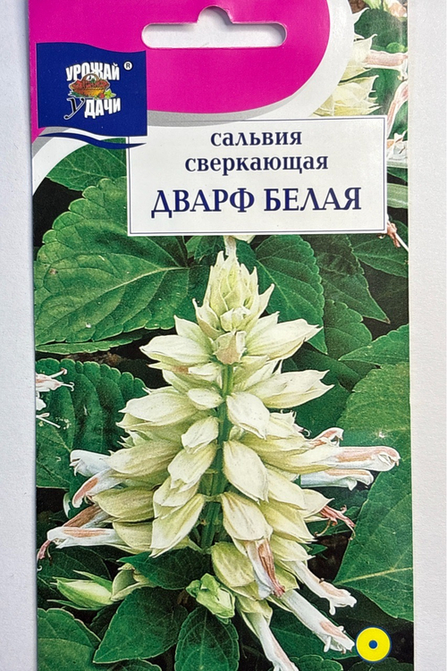 Сальвия Дварф Белая сверк.0,03 г СМЦ-755
