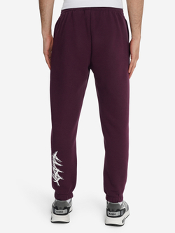 Брюки спортивные мужские KAPPA
