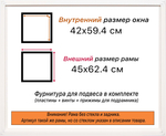 Рама 42x59,4 для картин и фотографий RP0780360-06
