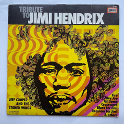 Винтажная виниловая пластинка LP Jeff Cooper And The Stoned Wings Tribute To Jimi Hendrix (Germany 1971)