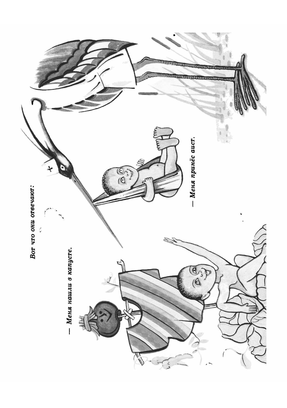 Откуда я взялся? | Нет автора