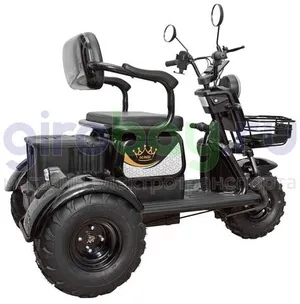 Электротрицикл IKINGI SIBTRIKE T3 Pro MAX 1000W (60V/30Ah) - Чёрный фото №13
