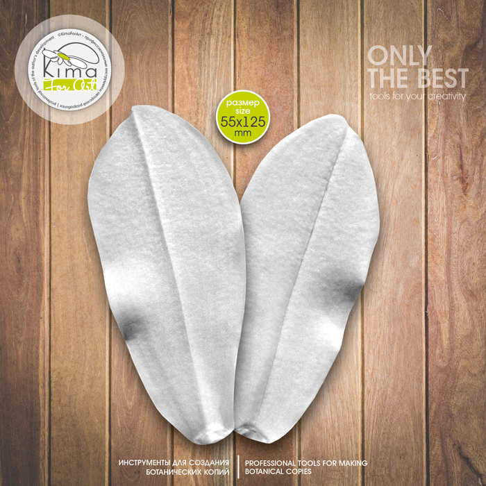 Фаленопсис лист большой