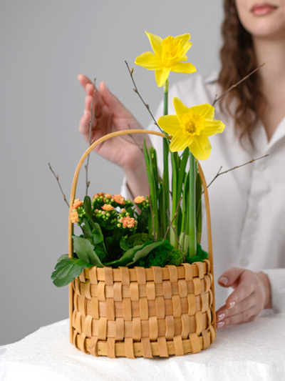 Лучик солнца