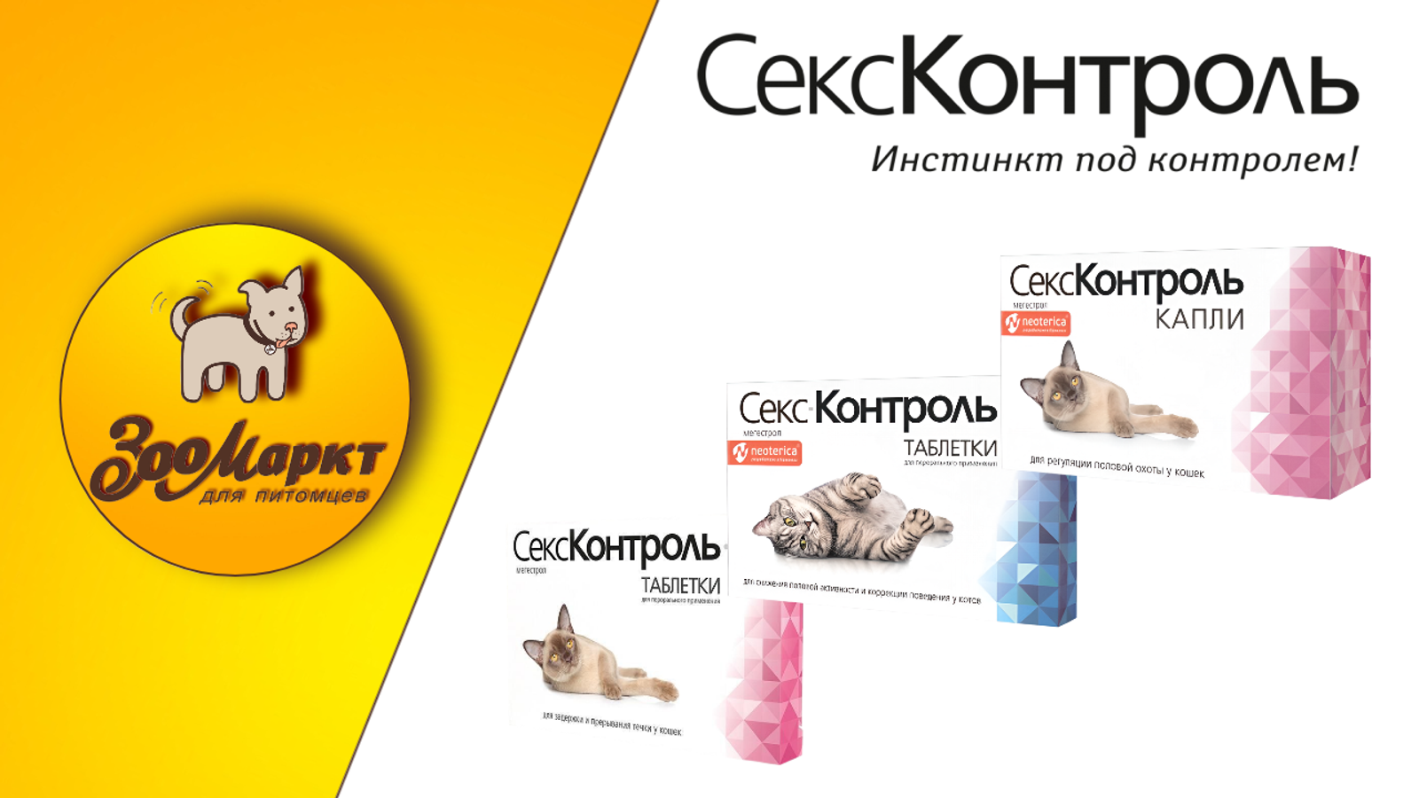 Акция Секс-Контроль