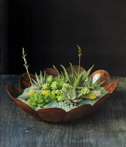 The Plant Recipe Book: 100 Living Arrangements for Any Home in Any Season