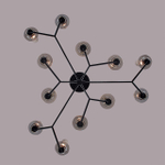 6555/12C CLASSI LN26 100 черный/дымчатый/металл/стекло Люстра потолочная E14 12*40W 220V MADONNA