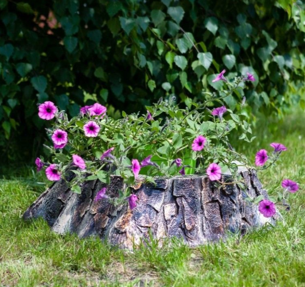 Пень низкий