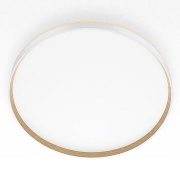 CL750500R ETALON Белый+Бук с пультом и RGB