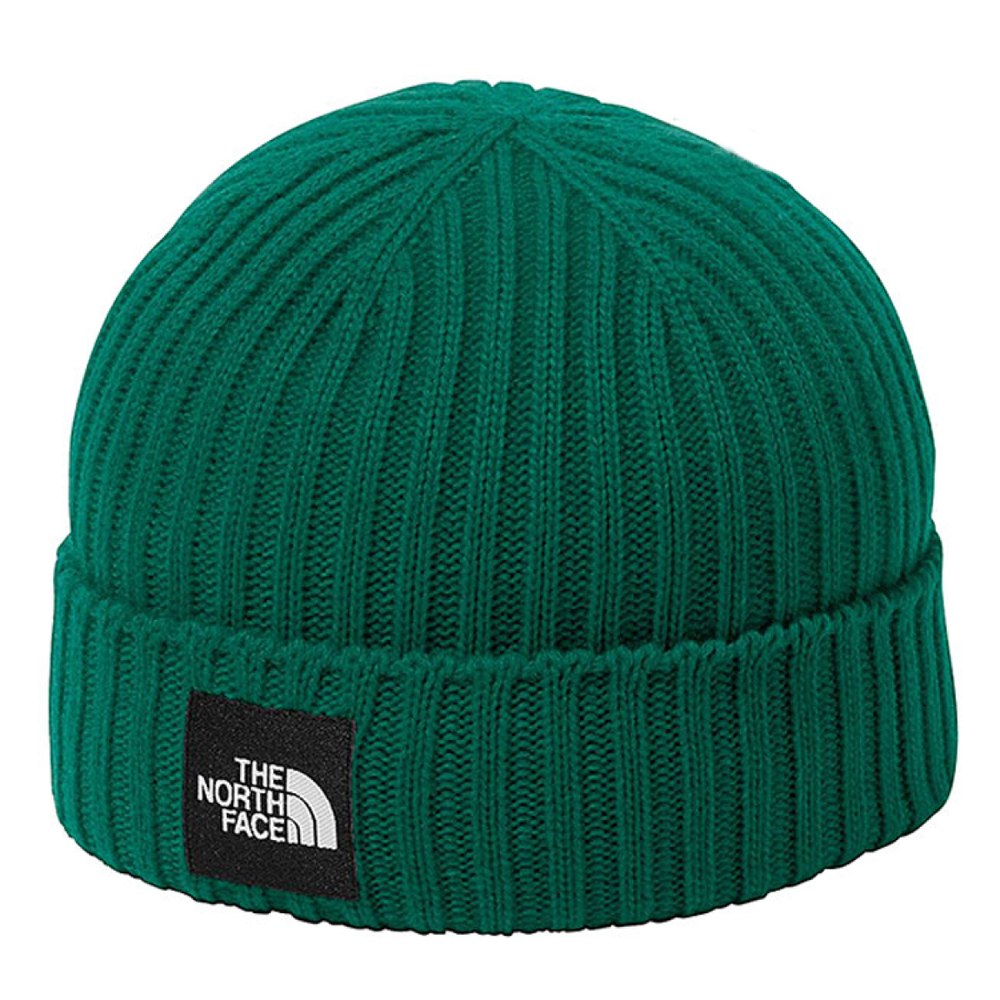 Шапки THE NORTH FACE Logo, NN42035-TG