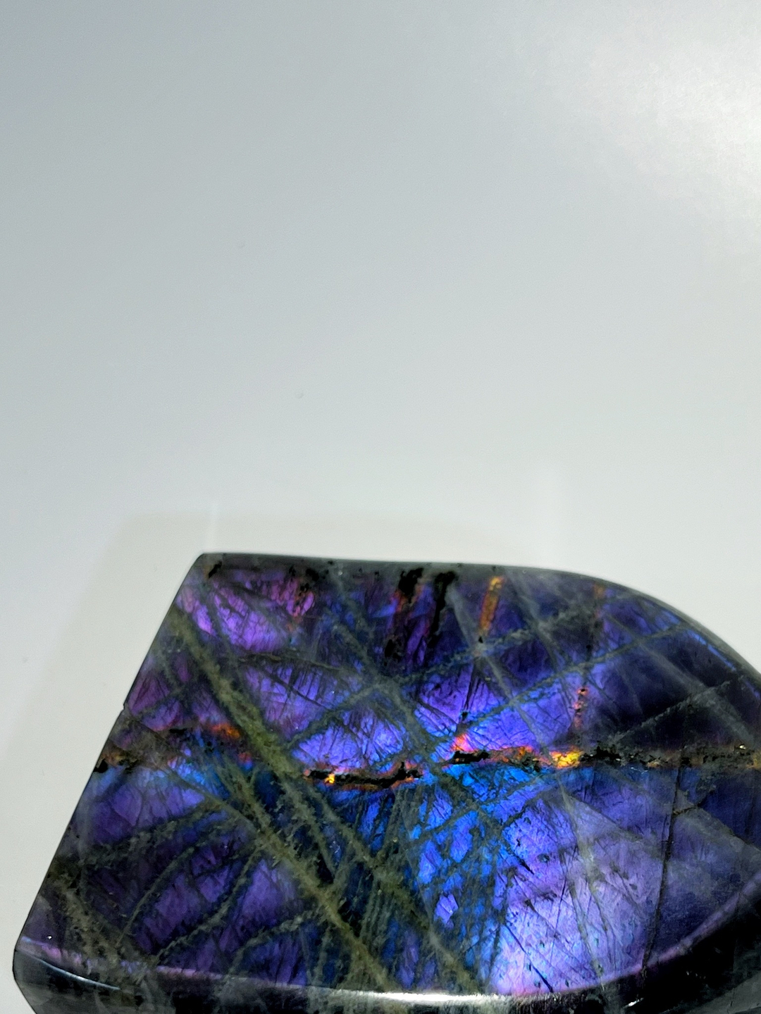 Срез Лабрадора M