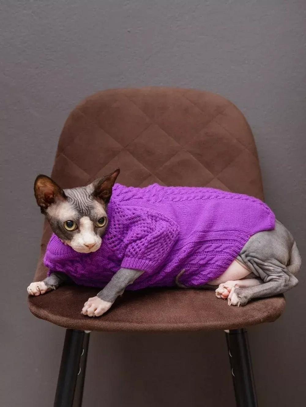 Свитер для собак и кошек