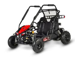 Багги SHARMAX Тигр 250