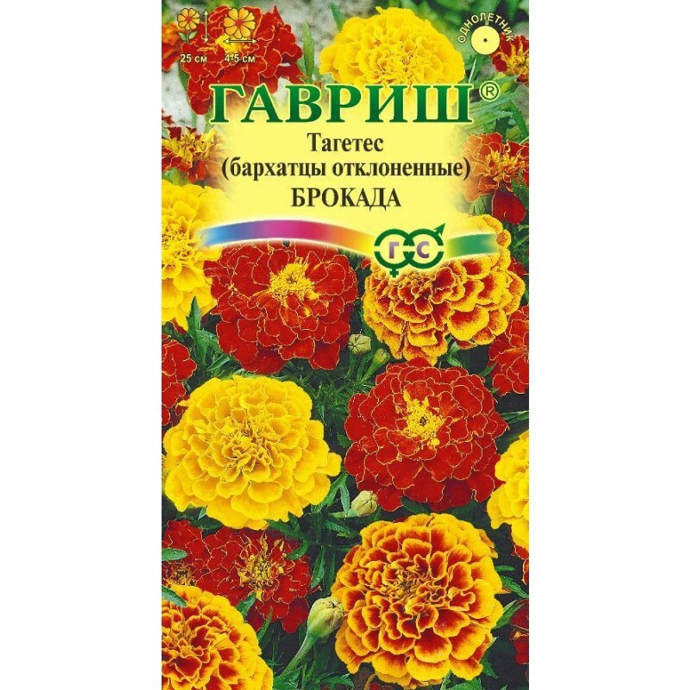 Бархатцы отклоненные Брокада