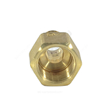 Муфта для PE-X труб радиальная латунь Дн 16х1/2" ВР GX109 Giacomini GX109Y033