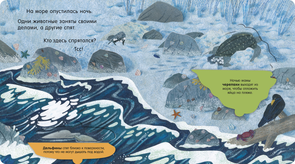 Книжка с окошками. У моря