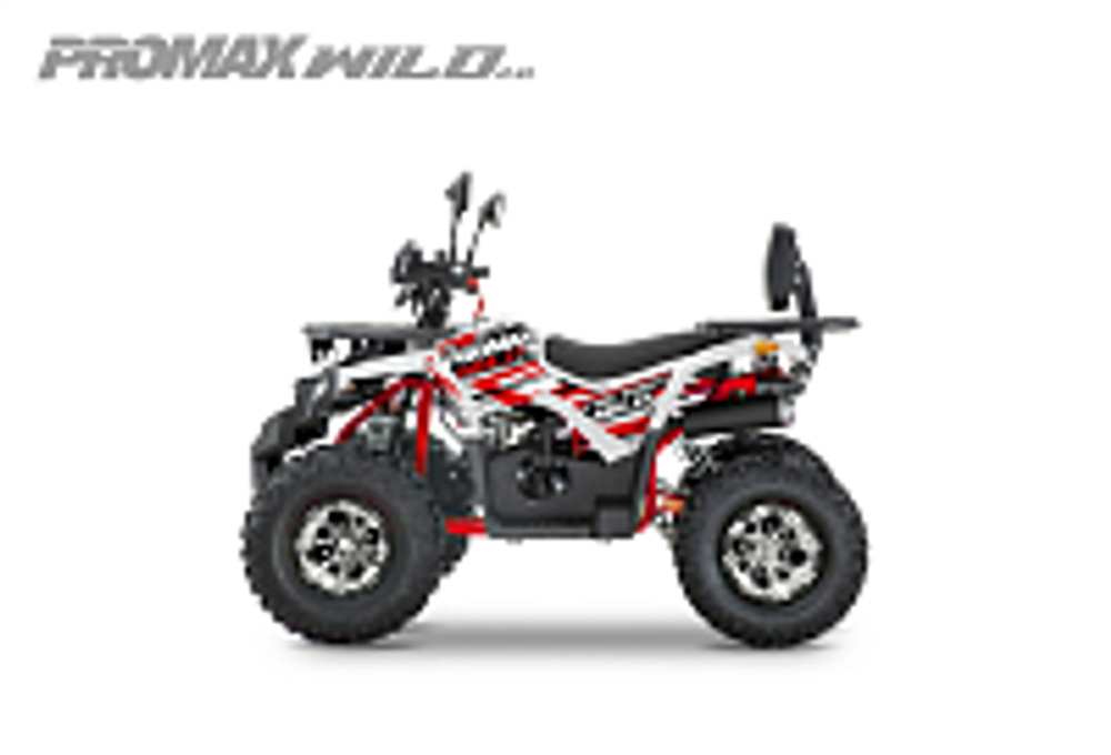 Квадроцикл PROMAX WILD 2.0 190 PRO (2025)