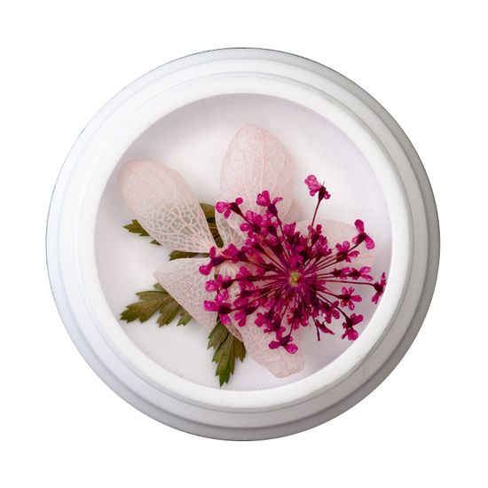 Сухоцветы в круглой баночке №6