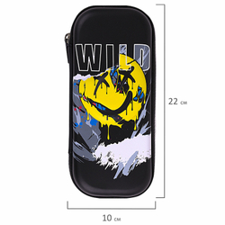 Пенал BRAUBERG, 1 отделение, 1 откидная планка, EVA, 22х10 см, Wild face, 272337