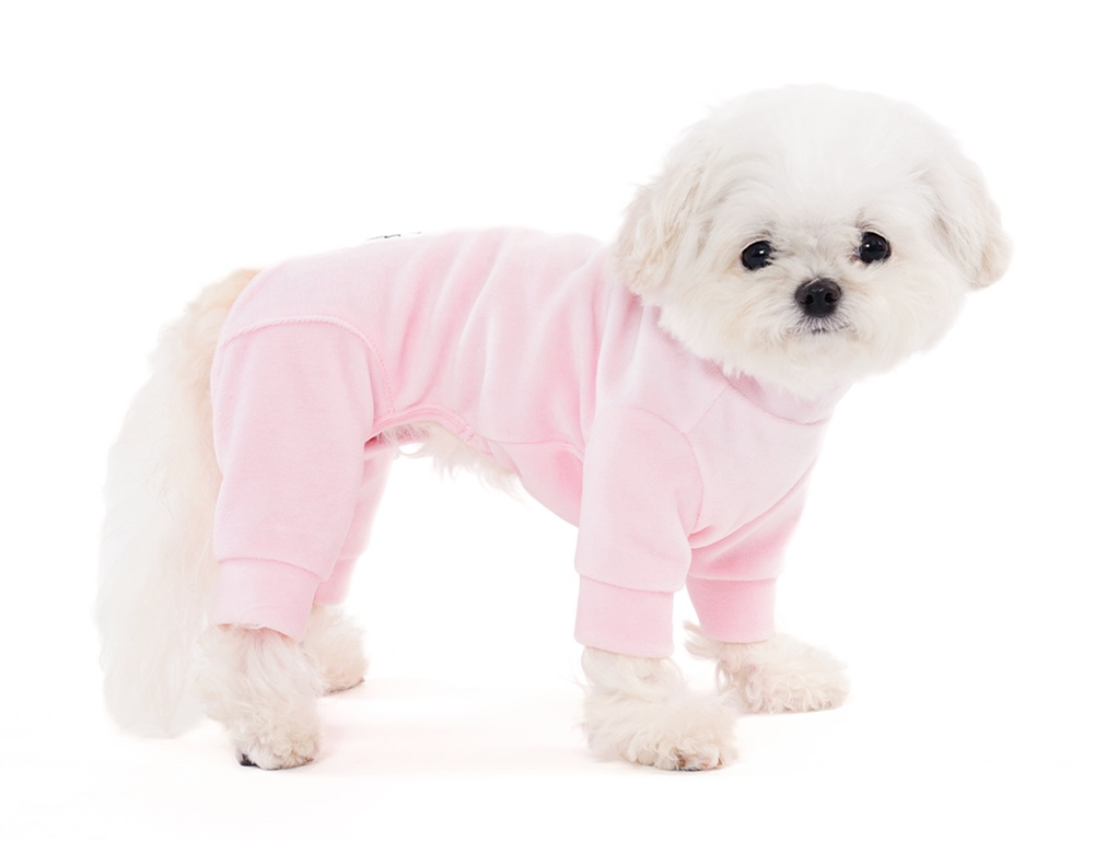 004 Костюм (ВЕЛЮРОВЫЙ) с высоким воротом "Angel Monsters Velour Highneck" Puppy Angel