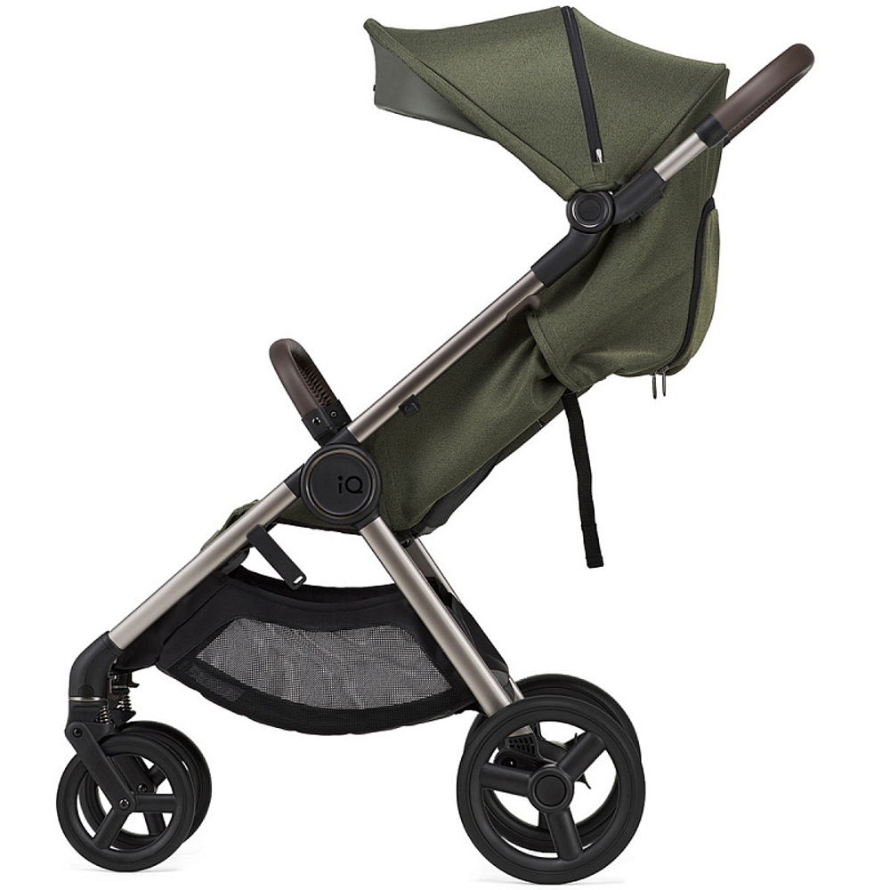 Детская коляска Anex IQ Premium 2 в 1 richi