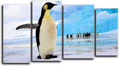 Модульная картина "Пингвин на льду"