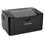 Принтер лазерный PANTUM P2507