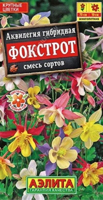 Аквилегия Фокстрот, смесь сортов