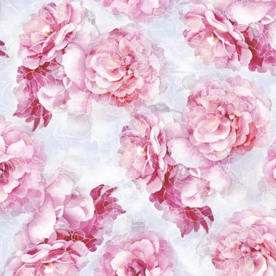 Розовые розы