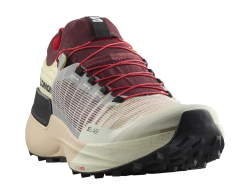 Кроссовки для бега мужские Salomon S/LAB Genesis Vanilia М Бежево-бордовые