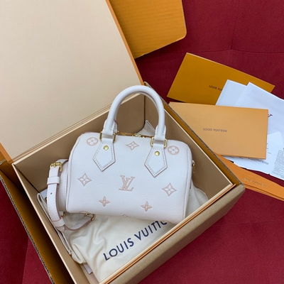 Louis Vuitton Speedy 20