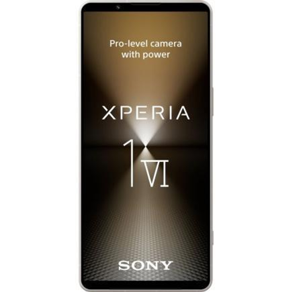 Sony Xperia 1 VI (XQ-EC72) 12/256Gb Platinum Silver