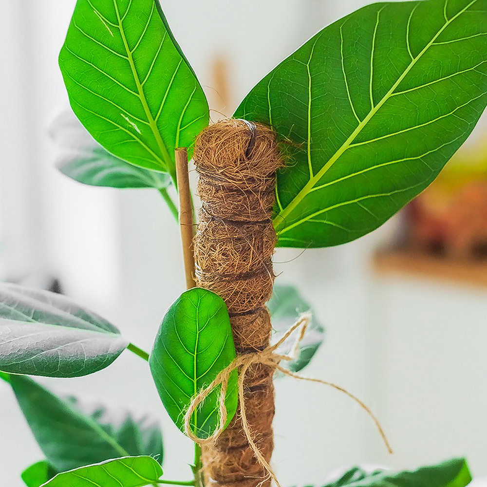 Опора для цветов 80см d-25см с кокосовым волокном