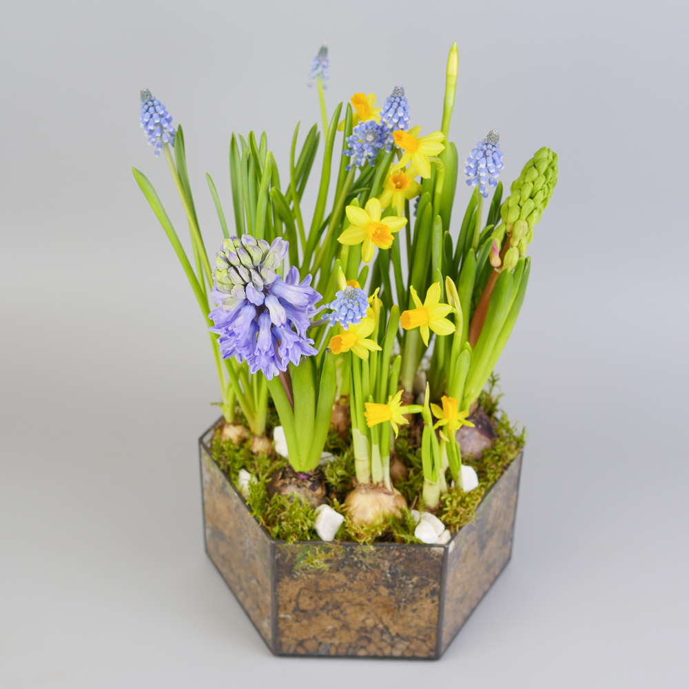 Композиция с первоцветами Весенний микс