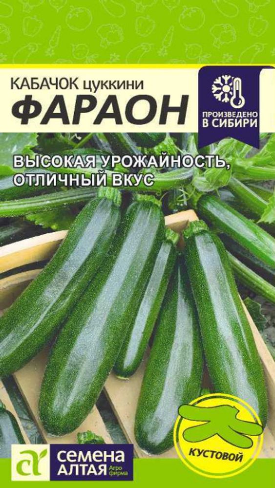Кабачок &quot;G. Фараон&quot; 2г., Россия.