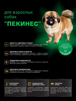 Корм сухой для взрослых собак породы Пекинес, с ягненком, 12 кг, QUATTRO